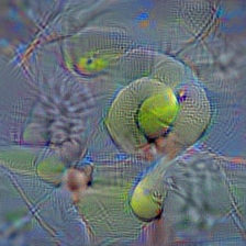 n04409515 tennis ball